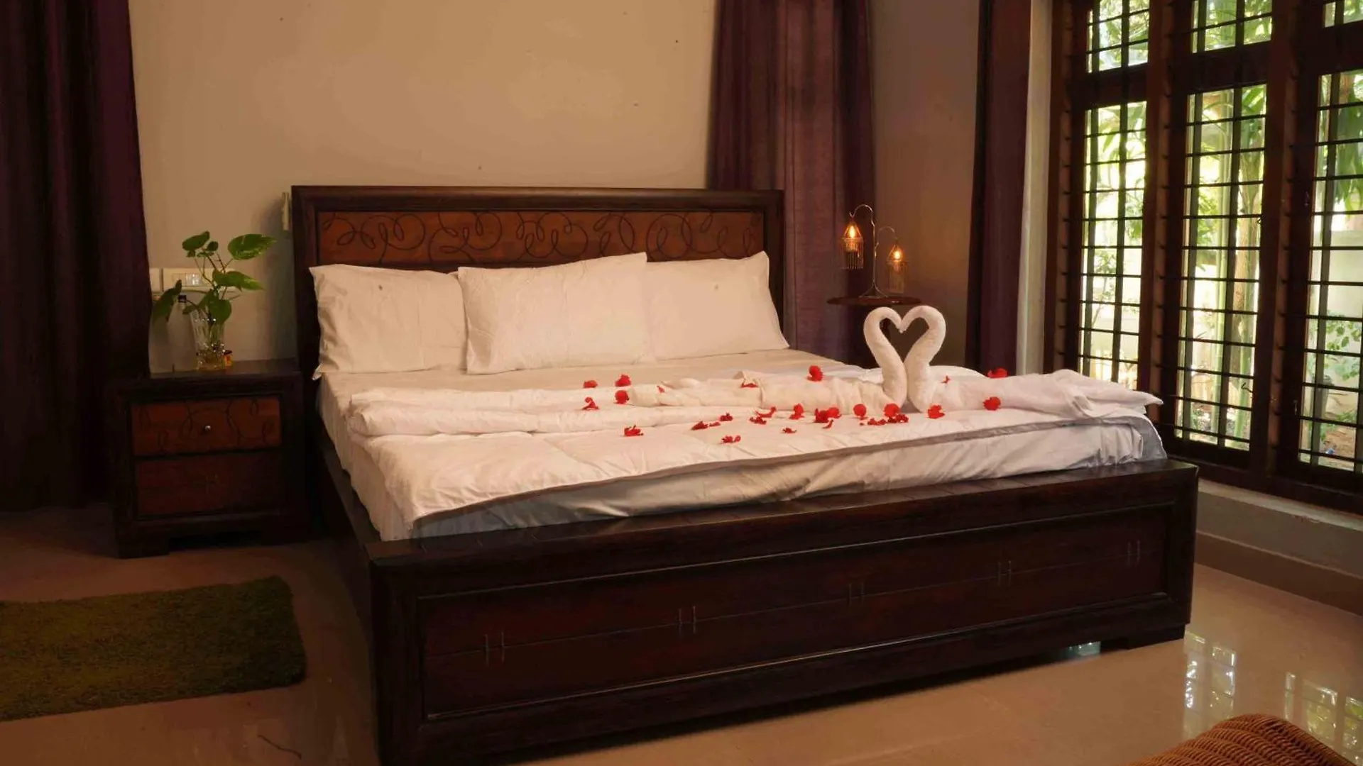 Bellevue Homestay And Wellness Centre Kozhikode 0*,