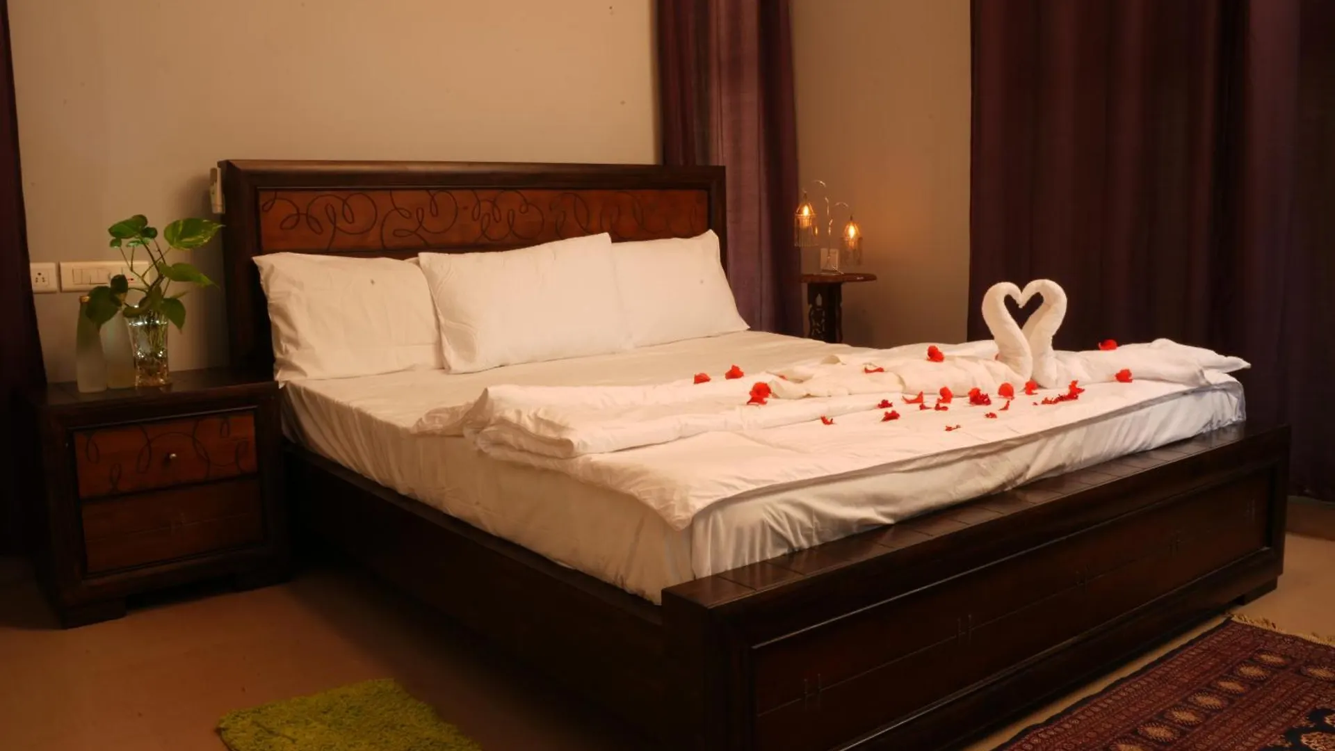 Bellevue Homestay And Wellness Centre Kozhikode India