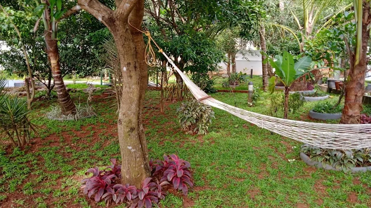 Bellevue Homestay And Wellness Centre Kozhikode