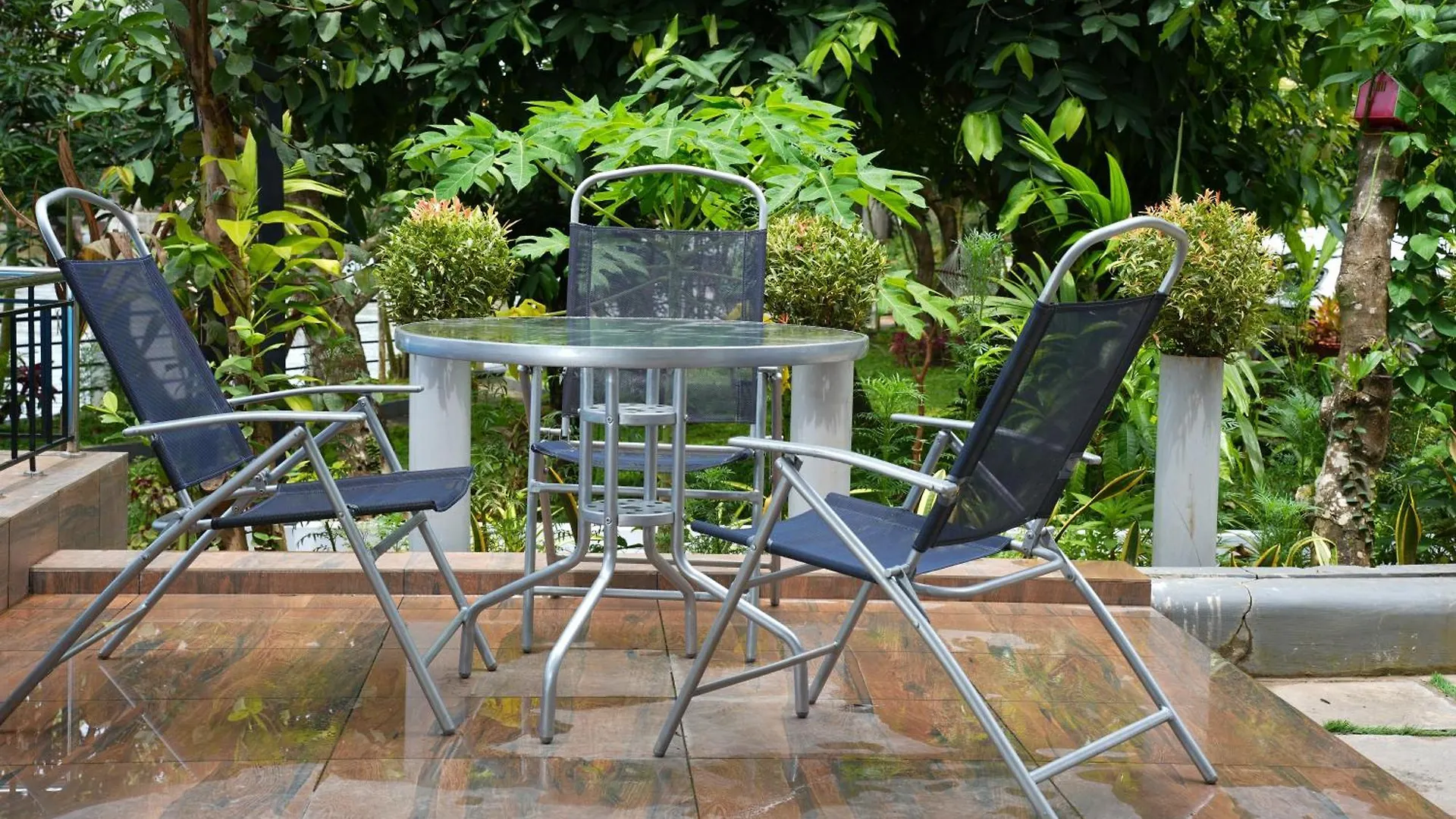 Bellevue Homestay And Wellness Centre Kozhikode India