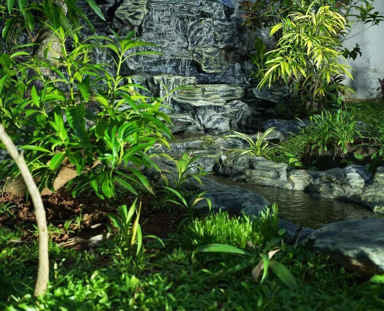 Bellevue Homestay And Wellness Centre Kozhikode India